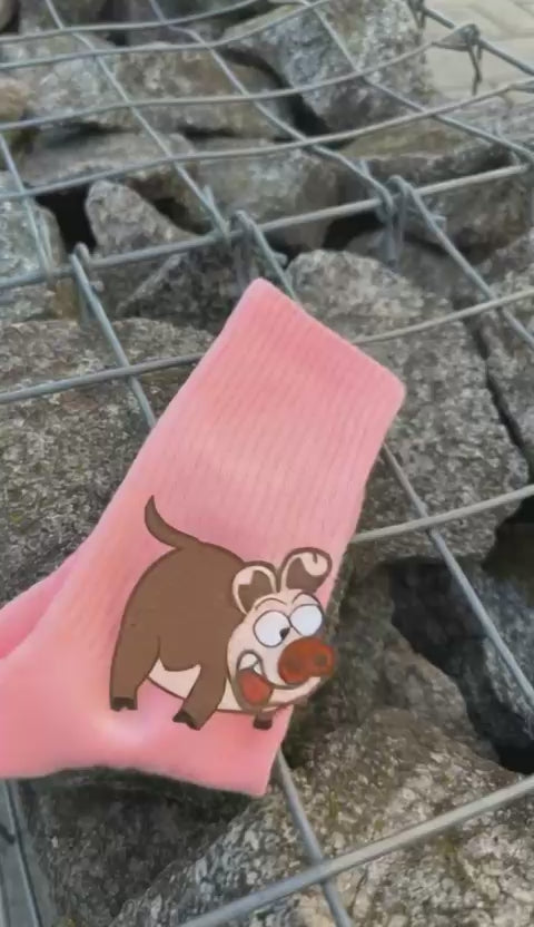 ready2diet pig socken